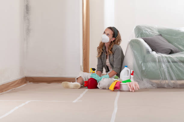 Reliable Black Mold Remediation contractor in Nashville, GA by 24 Hour Mold Removal
